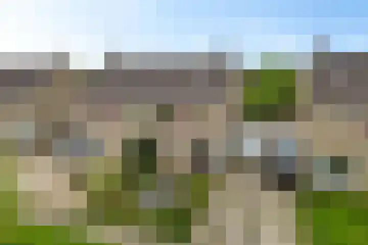 Reinder Brolsmaplein 20 Stiens thumbnail 30