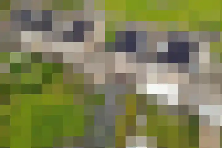 Reinder Brolsmaplein 20 Stiens thumbnail 32