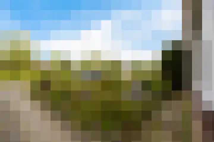 Reinder Brolsmaplein 20 Stiens thumbnail 33