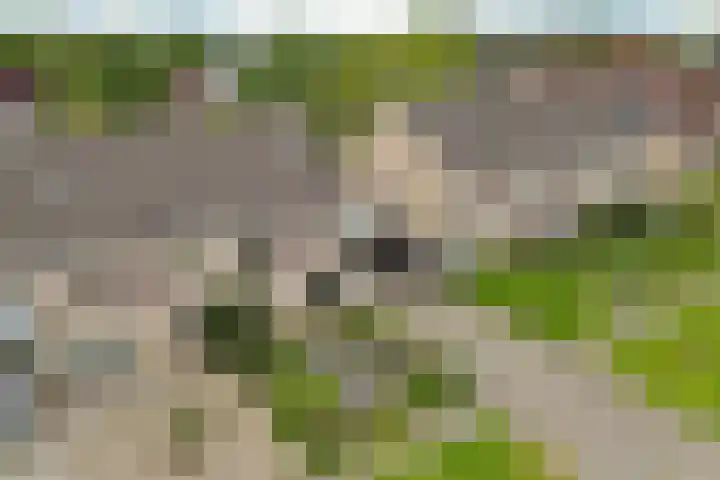 Reinder Brolsmaplein 20 Stiens thumbnail 37
