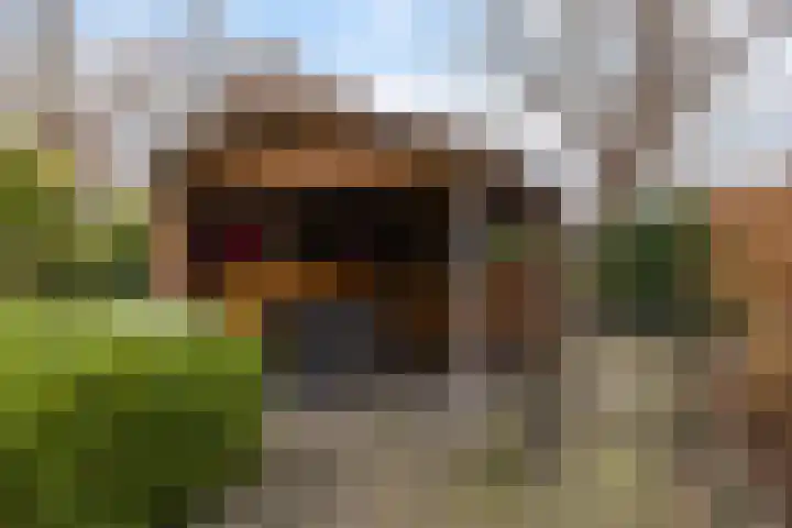 Reinder Brolsmawei 10 Leeuwarden thumbnail 16
