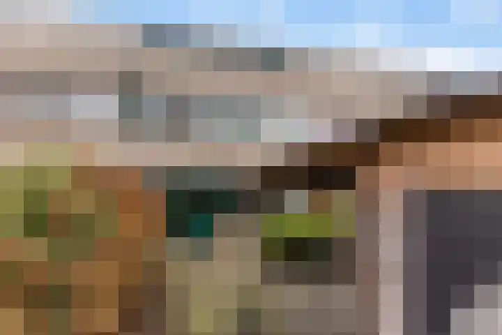 Reinder Brolsmawei 10 Leeuwarden thumbnail 17