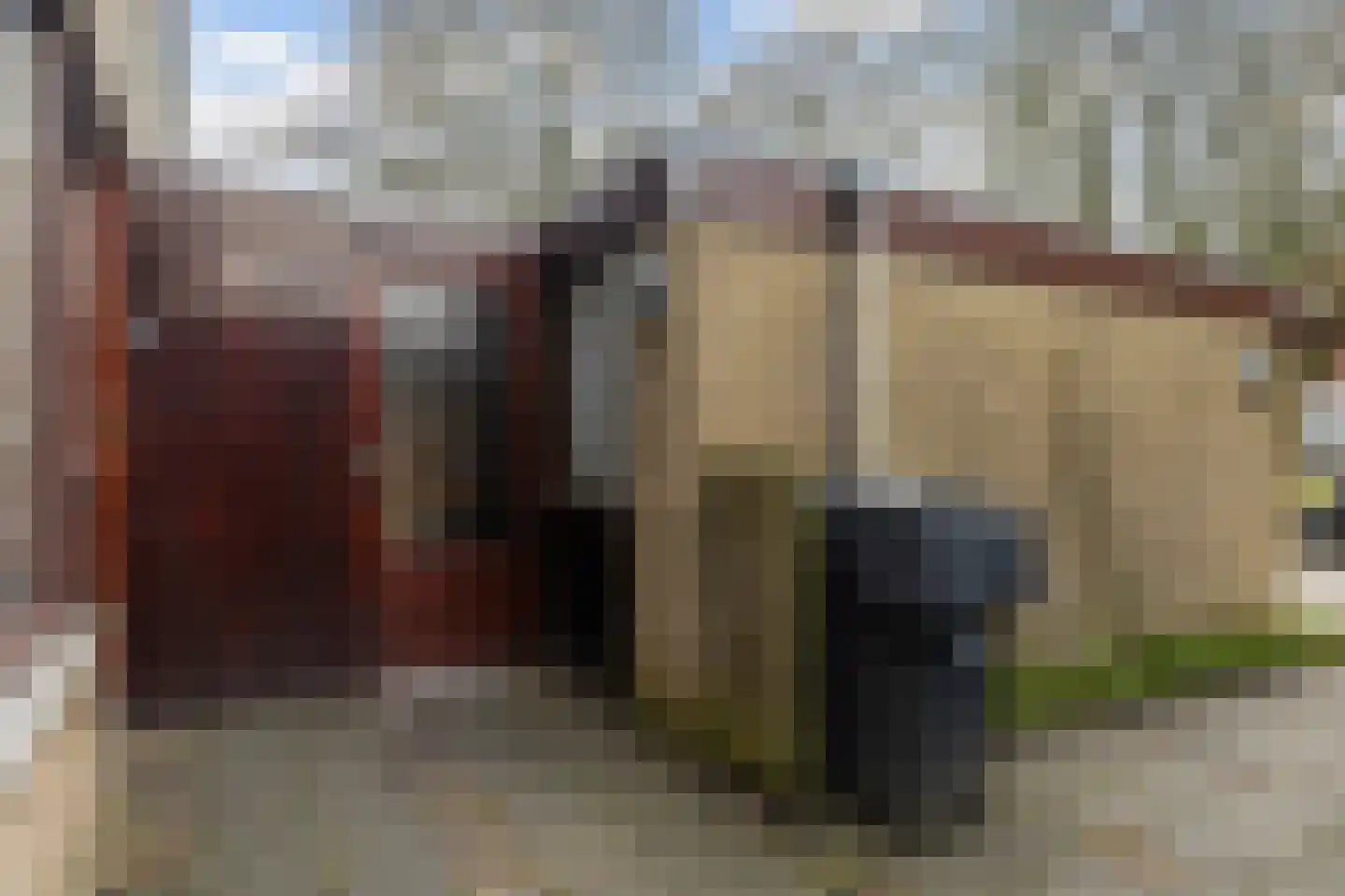 Reinder Brolsmawei 2 Leeuwarden thumbnail 32