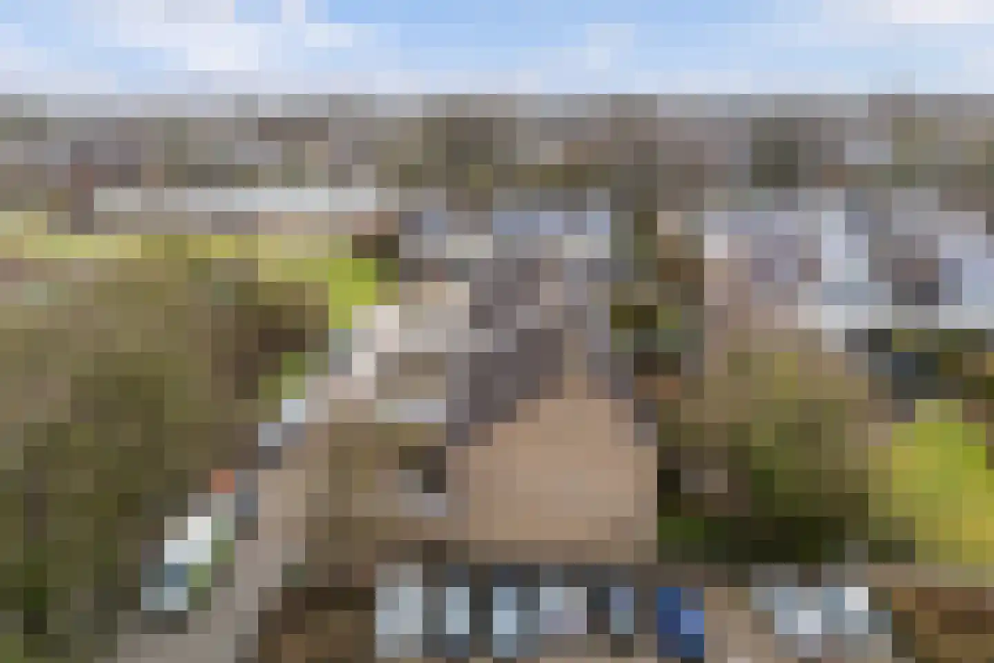 Reinder Brolsmawei 2 Leeuwarden thumbnail 38