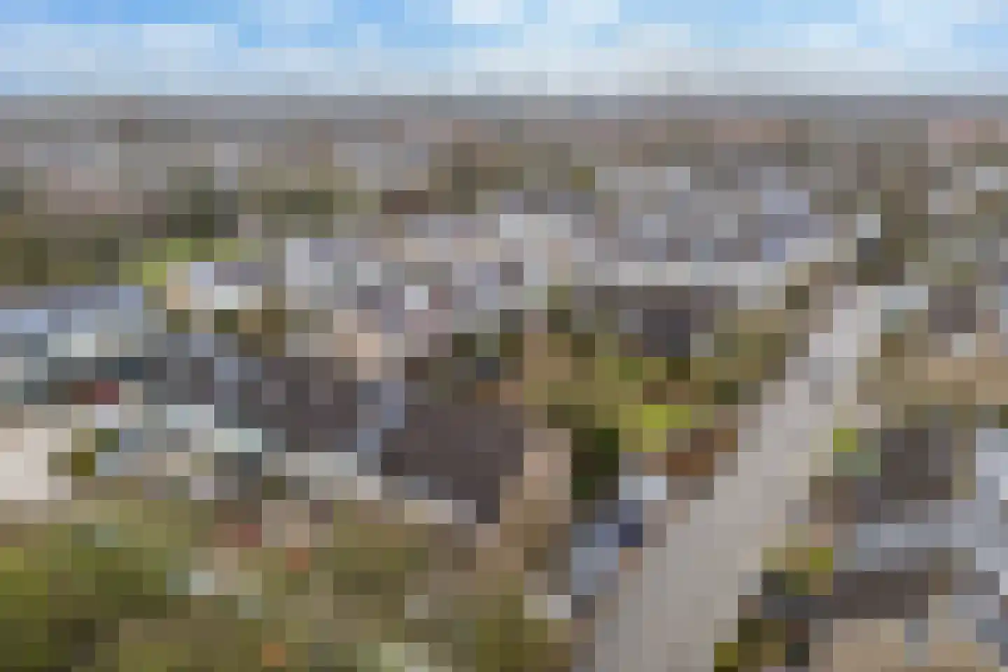 Reinder Brolsmawei 2 Leeuwarden thumbnail 39