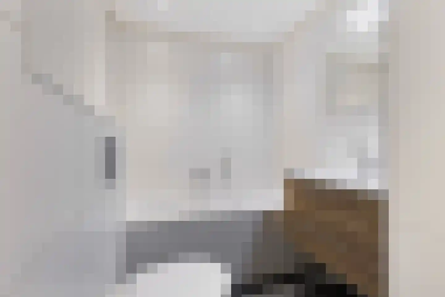 Reinder Brolsmawei 41 Leeuwarden thumbnail 5