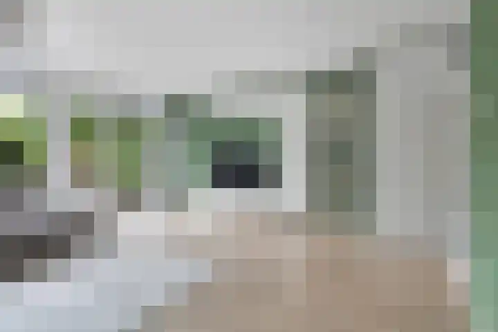 Reinder Brolsmawei 6 Leeuwarden thumbnail 17