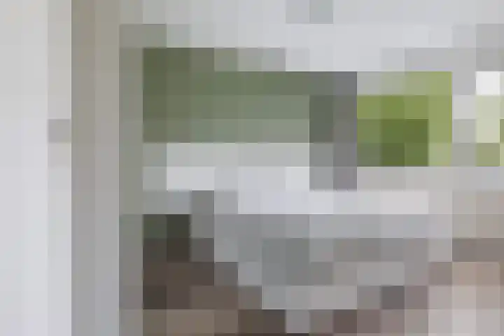 Reinder Brolsmawei 6 Leeuwarden thumbnail 32