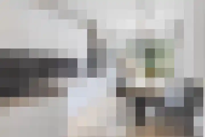 Reinder Brolsmawei 6 Leeuwarden thumbnail 5