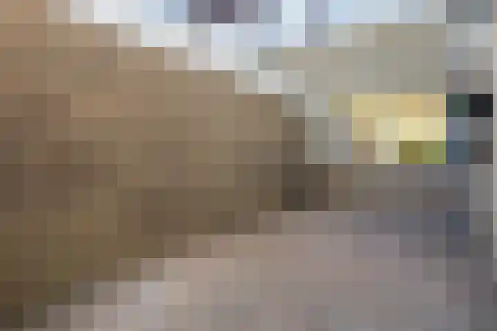 Reinder Brolsmawei 6 Leeuwarden thumbnail 9