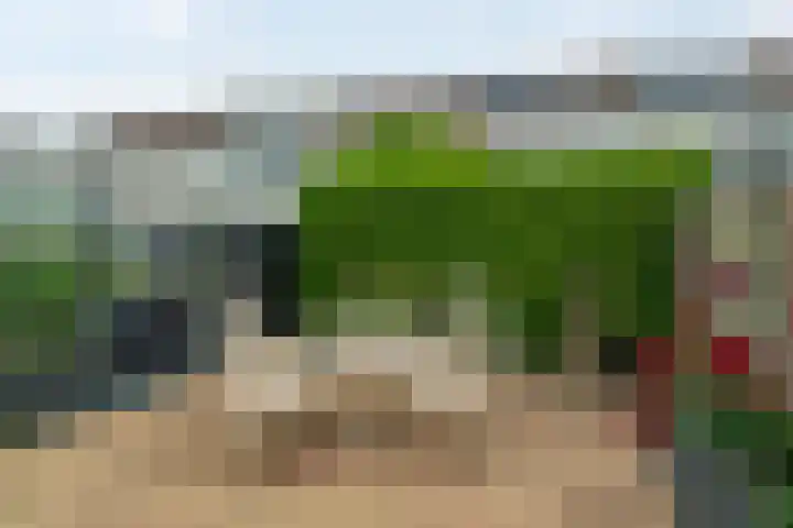 Reinder Brolsmawei 67 Leeuwarden thumbnail 32