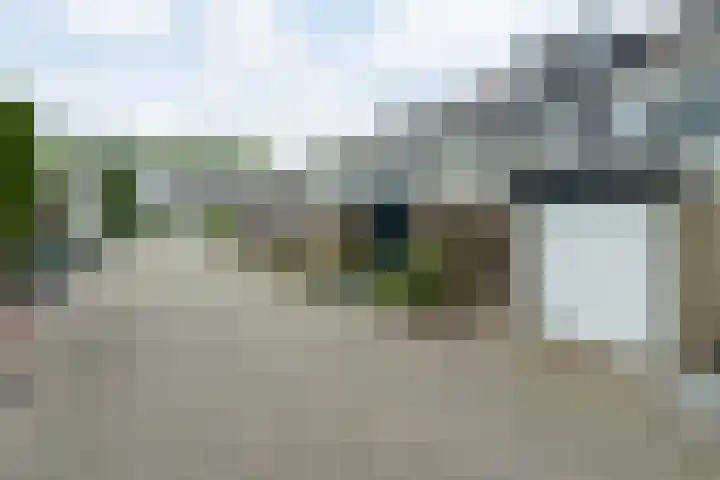 Reinder Brolsmawei 67 Leeuwarden thumbnail 6