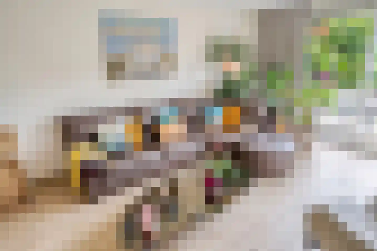Reinder de Langestraat 11 Leidschendam thumbnail 11