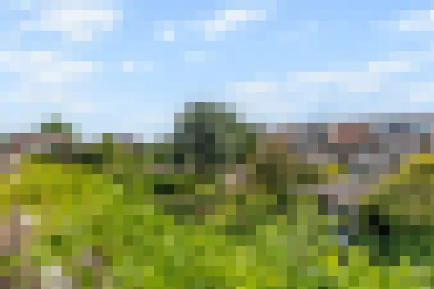 Reinder de Langestraat 11 Leidschendam thumbnail 51