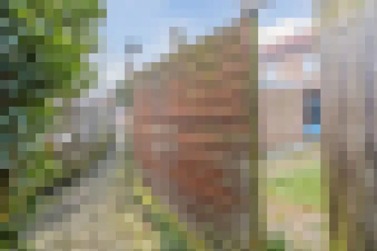 Reinder Eikelboomstraat 13 Hoogeveen thumbnail 39