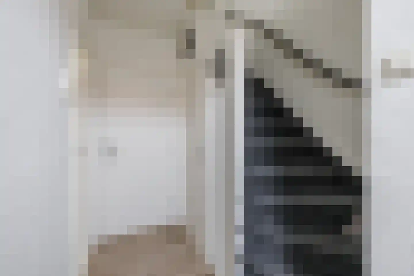 Reinder Eikelboomstraat 13 Hoogeveen thumbnail 6