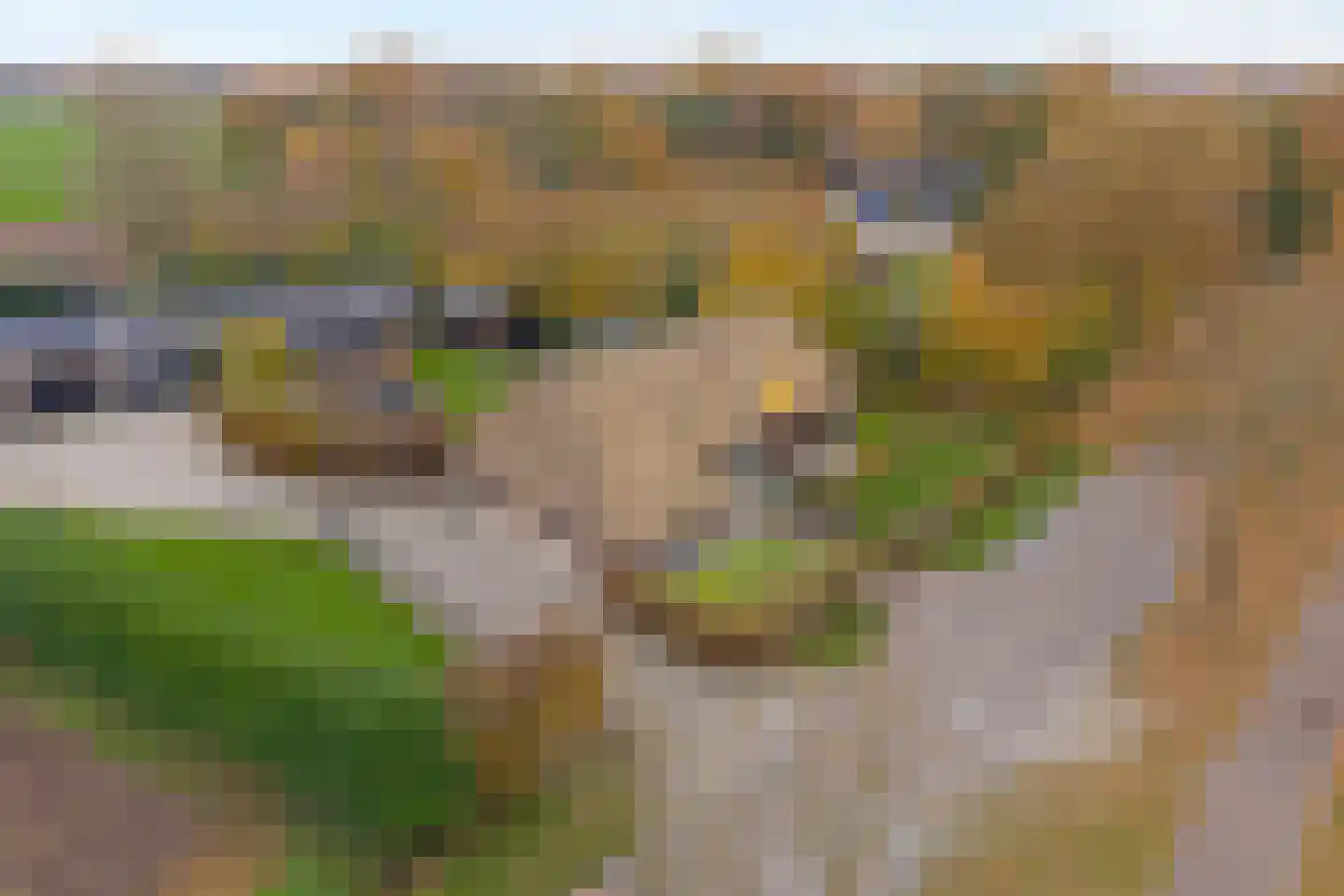 Reindersdijk 33 Dalen thumbnail 5