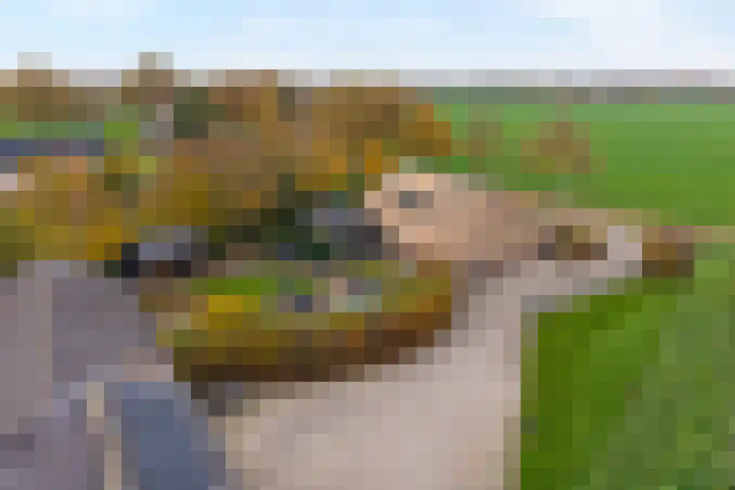 Reindersdijk 33 Dalen thumbnail 6