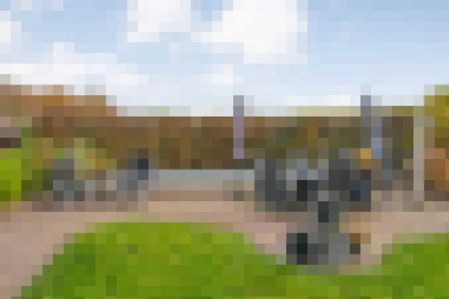 Reindersdijk 33 Dalen thumbnail 61