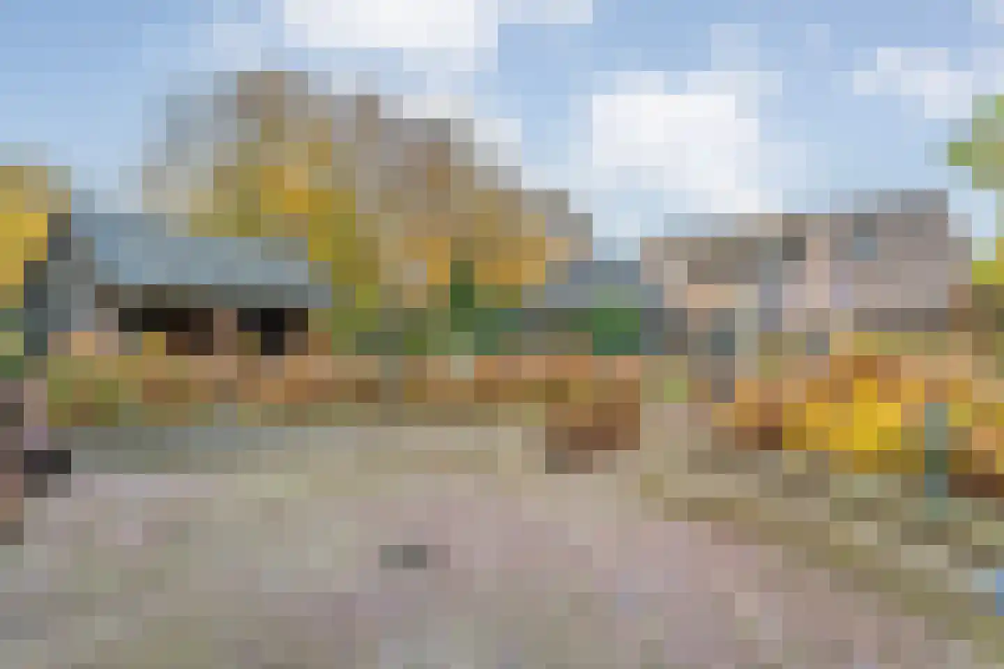Reindersdijk 33 Dalen thumbnail 64