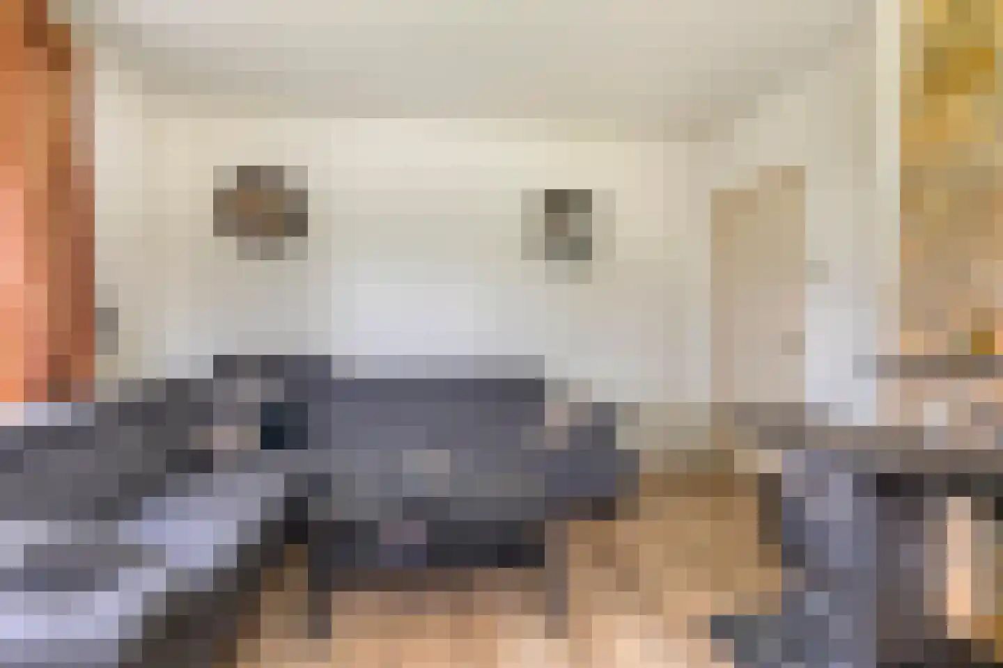 Reindersweg 1 Zieuwent thumbnail 13