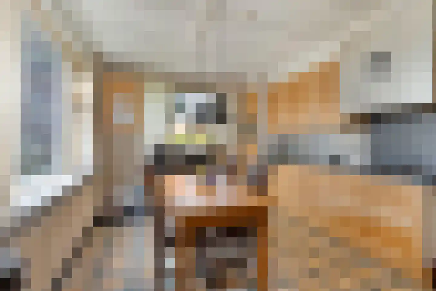 Reindersweg 1 Zieuwent thumbnail 14