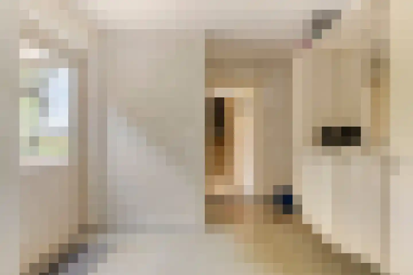 Reindersweg 1 Zieuwent thumbnail 18