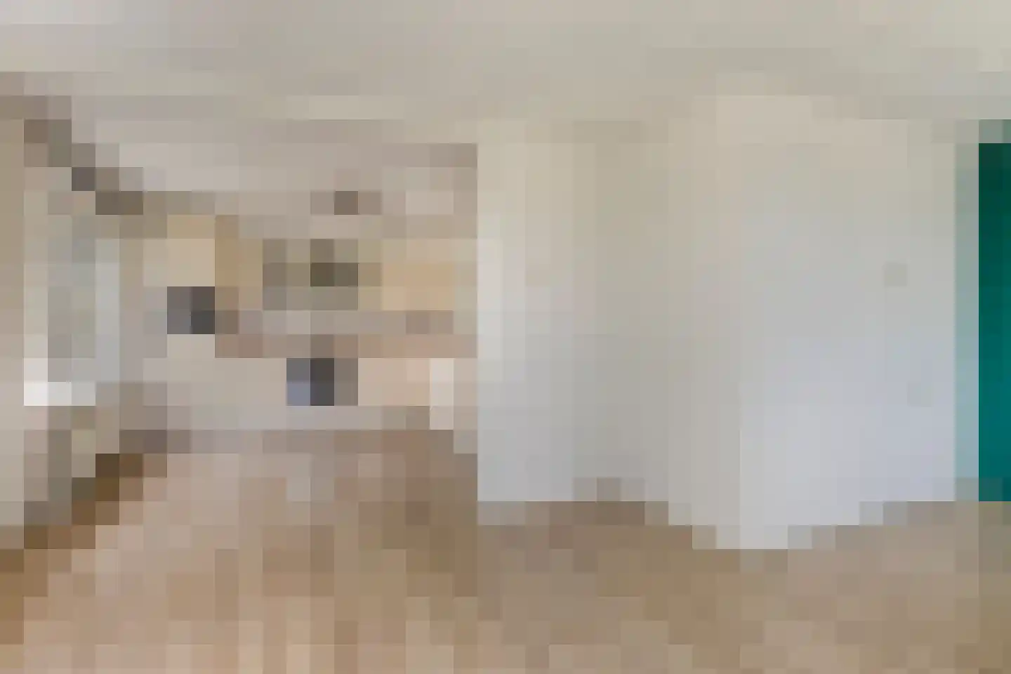 Reindersweg 1 Zieuwent thumbnail 26