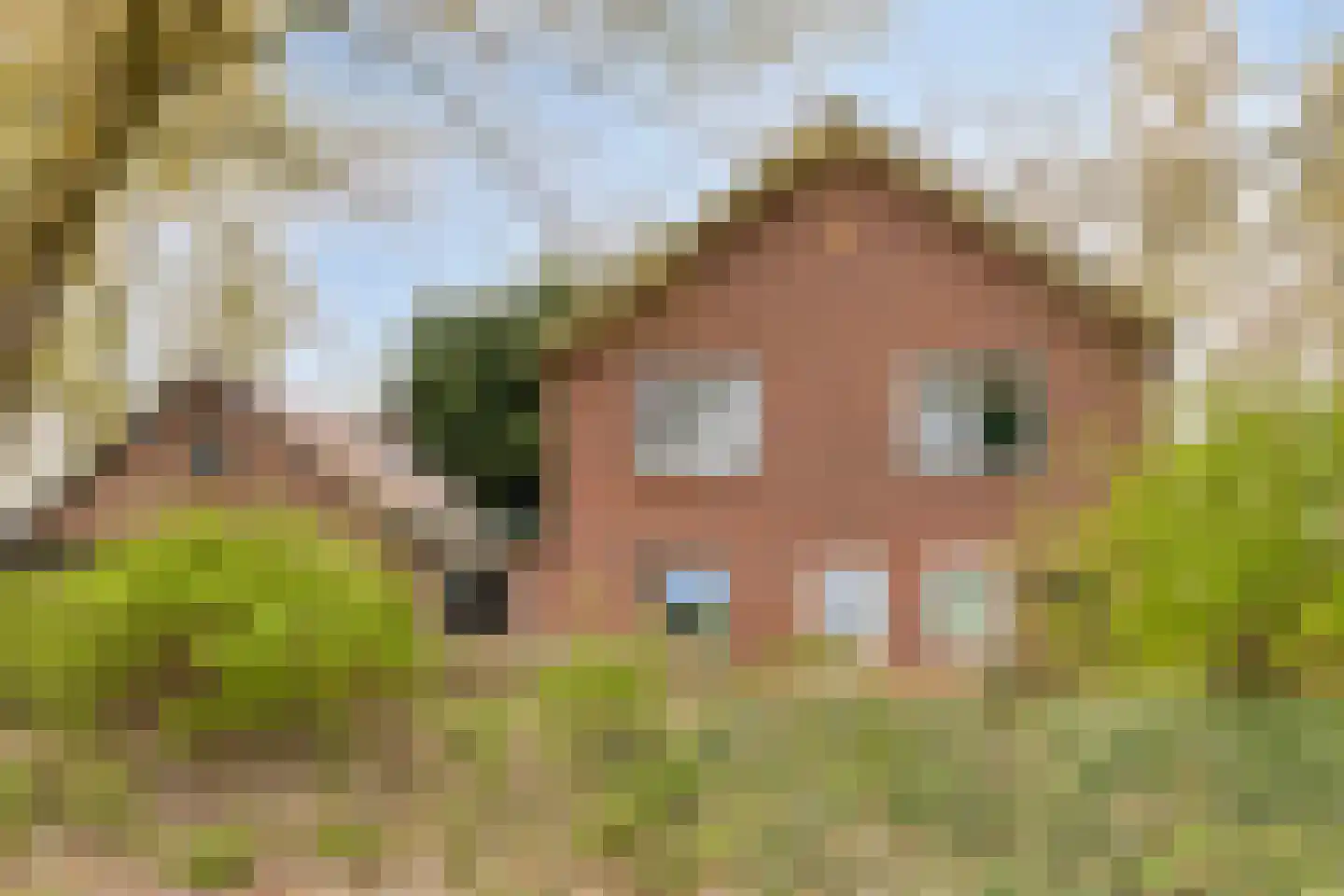 Reindersweg 1 Zieuwent thumbnail 35