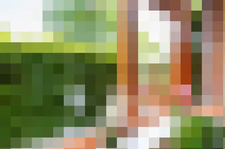 Reindertpad 2 Putten thumbnail 14