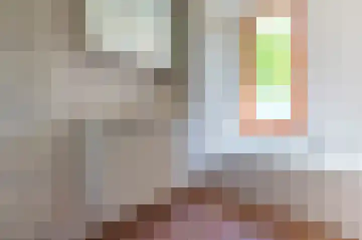 Reindertpad 2 Putten thumbnail 28