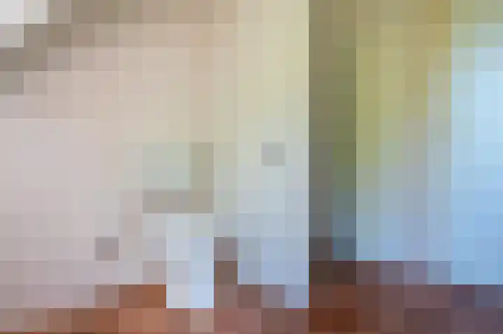Reindertpad 2 Putten thumbnail 31