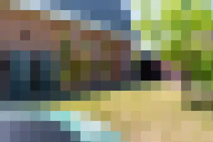 Reindertpad 2 Putten thumbnail 38
