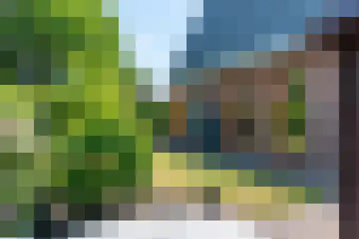 Reindertpad 2 Putten thumbnail 39