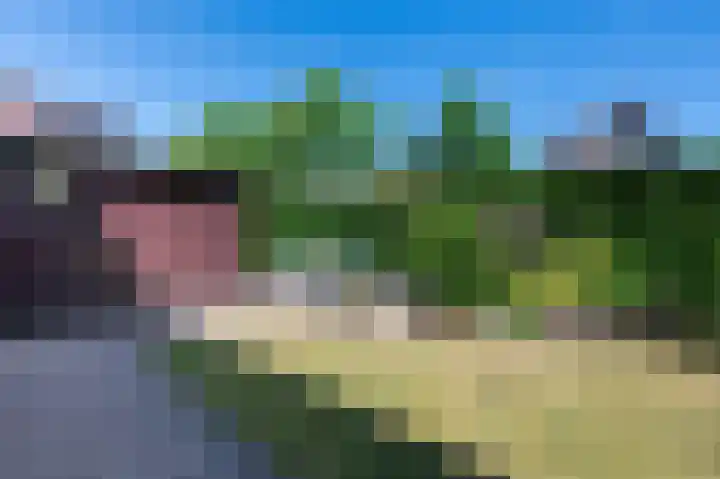 Reindertpad 2 Putten thumbnail 40