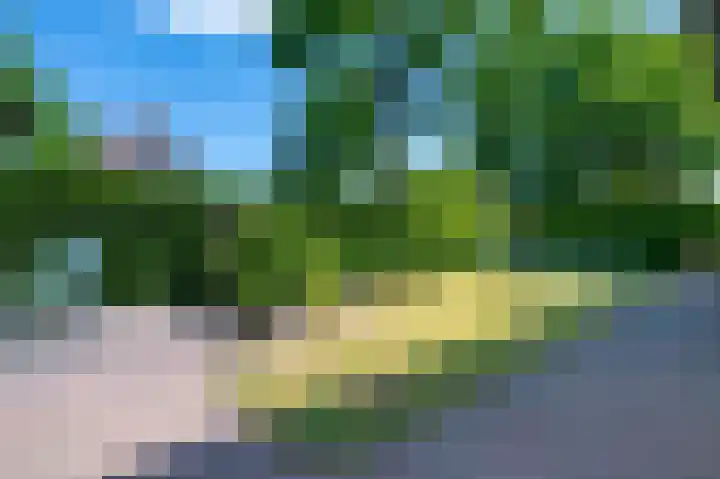Reindertpad 2 Putten thumbnail 42