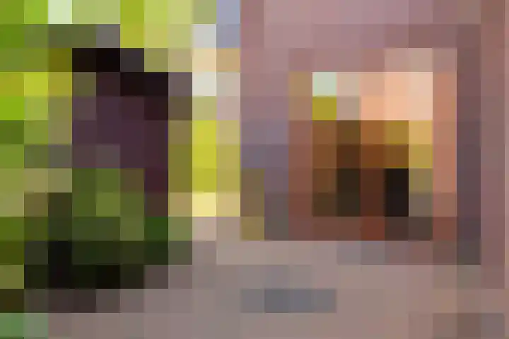 Reindertpad 2 Putten thumbnail 43