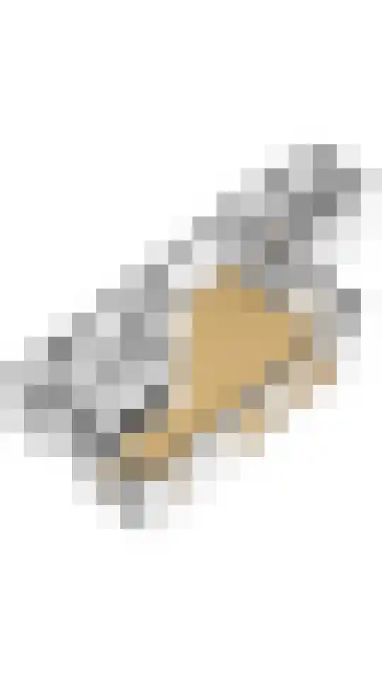 Reindertpad 2 Putten thumbnail 51