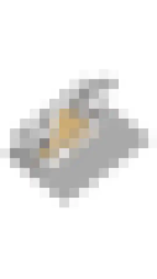 Reindertpad 2 Putten thumbnail 55