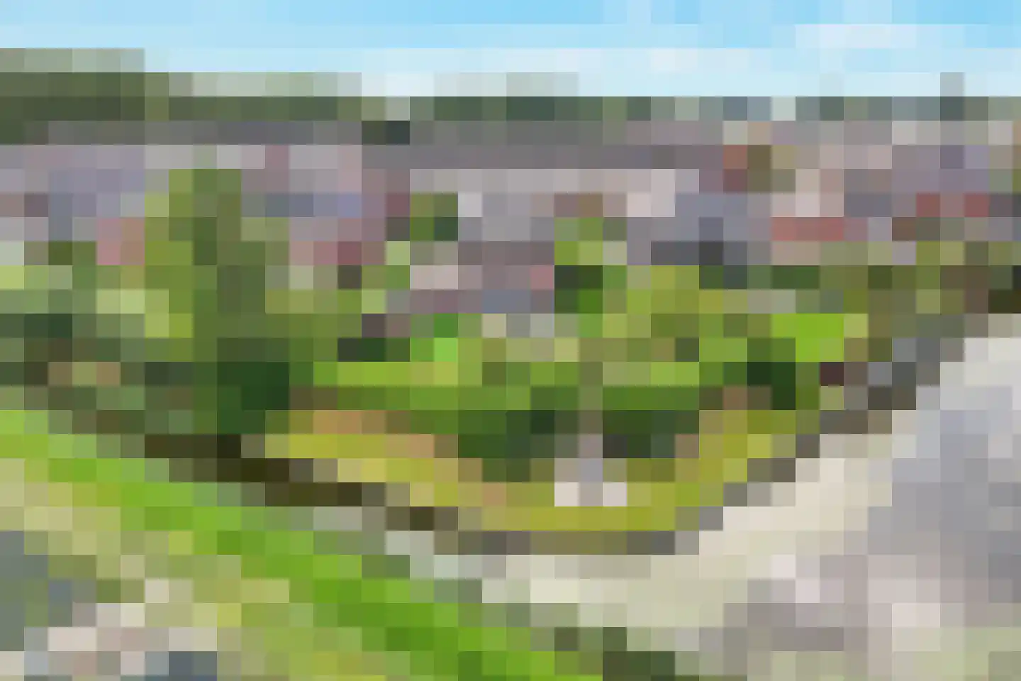 Reine Claude 15 Winkel thumbnail 5