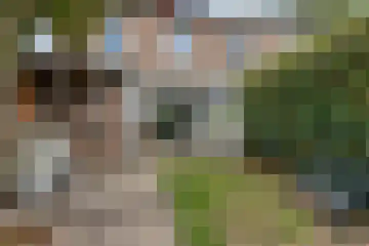 Reinekeshof 19 's-Hertogenbosch thumbnail 24