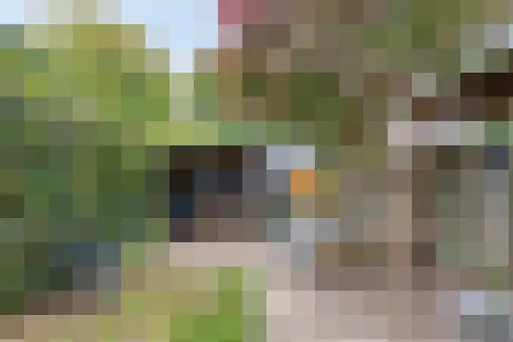 Reinekeshof 19 's-Hertogenbosch thumbnail 25