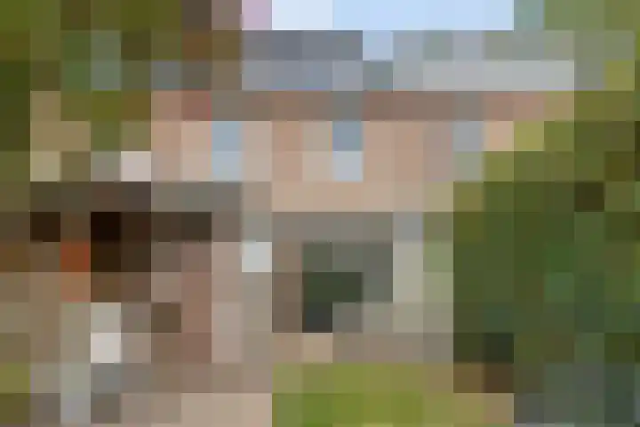 Reinekeshof 19 's-Hertogenbosch thumbnail 26