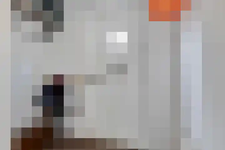 Reinekeshof 19 's-Hertogenbosch thumbnail 30