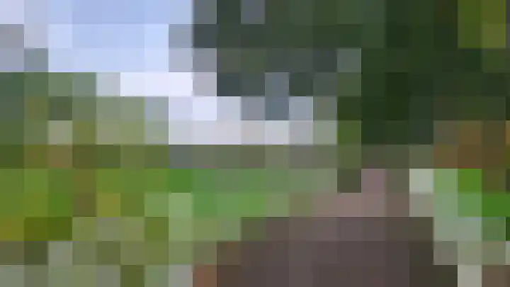 Reinekeshof 19 's-Hertogenbosch thumbnail 33