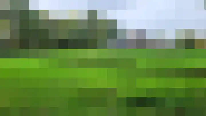 Reinekeshof 19 's-Hertogenbosch thumbnail 34