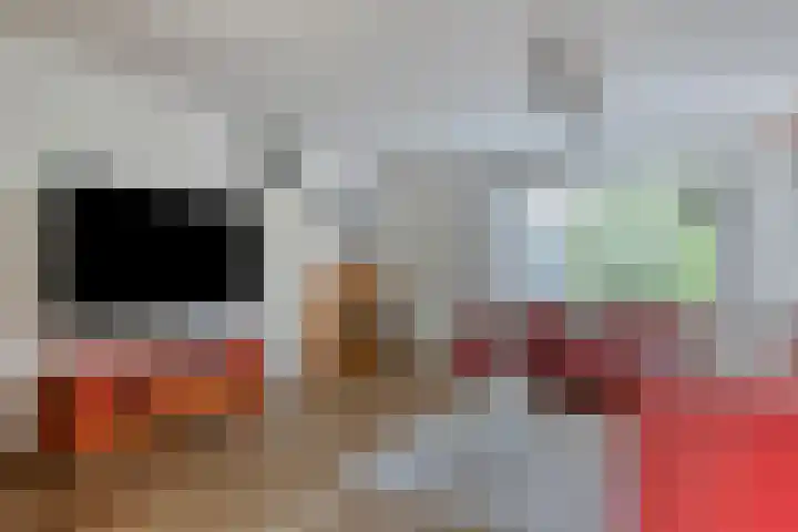 Reinekeshof 19 's-Hertogenbosch thumbnail 4