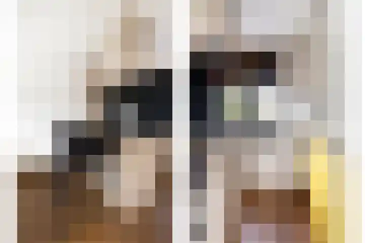 Reinenweer 10 Sliedrecht thumbnail 14