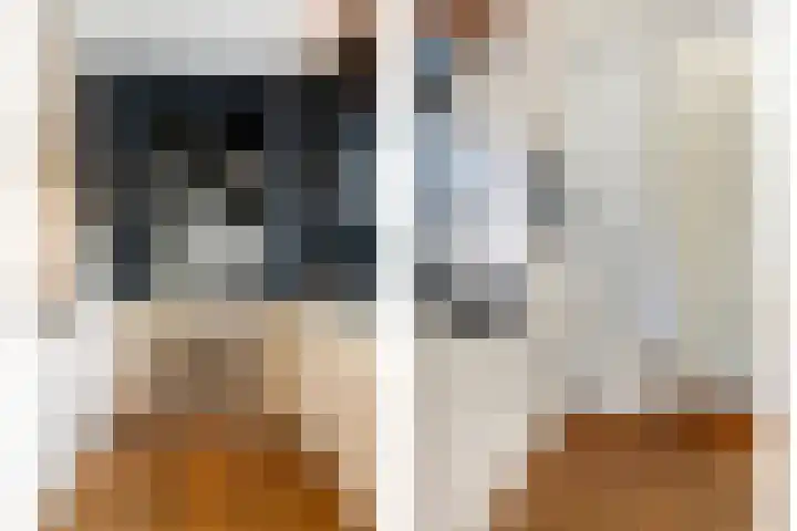 Reinenweer 10 Sliedrecht thumbnail 15