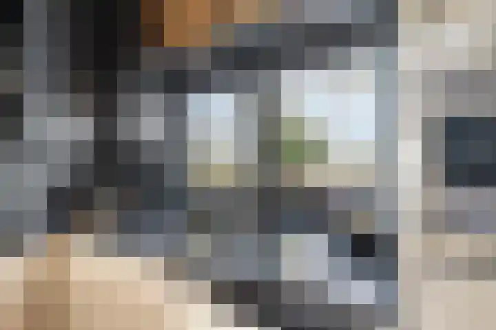 Reinenweer 10 Sliedrecht thumbnail 16